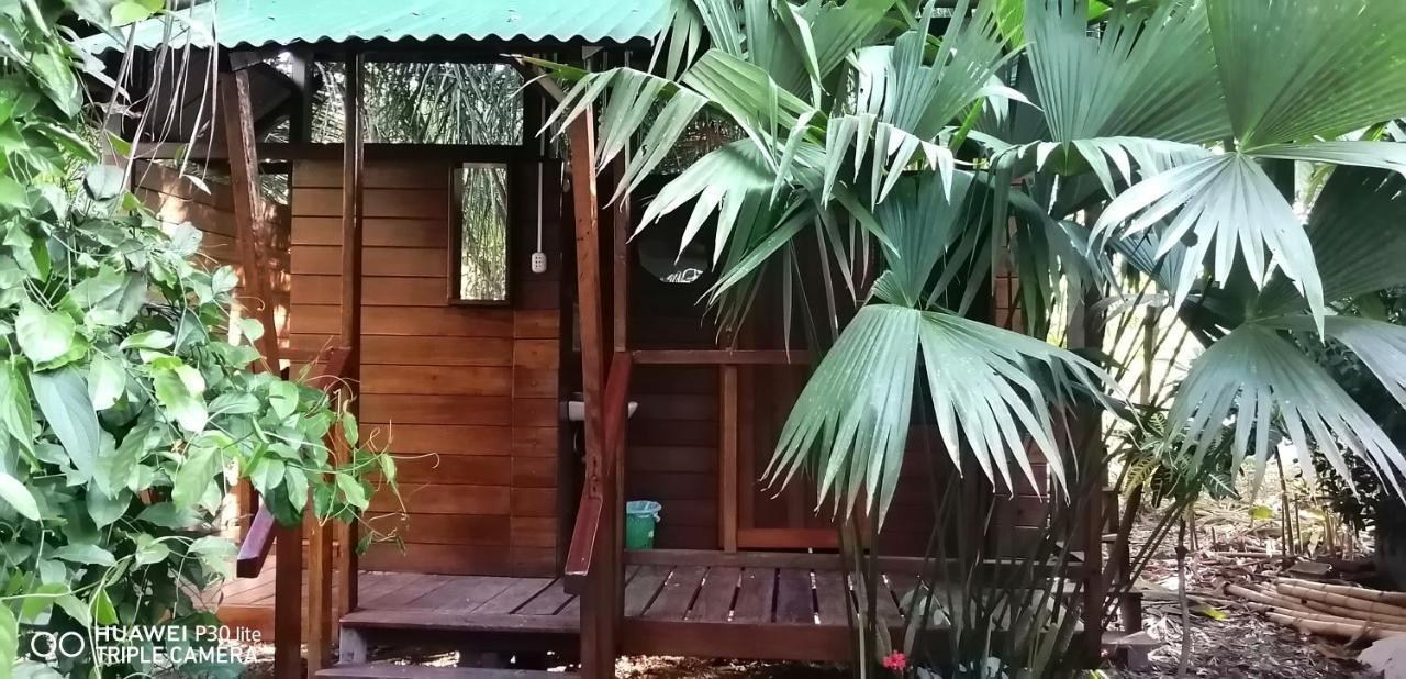 Passiflora Lodge Tambopata 푸에르토말도나도 외부 사진