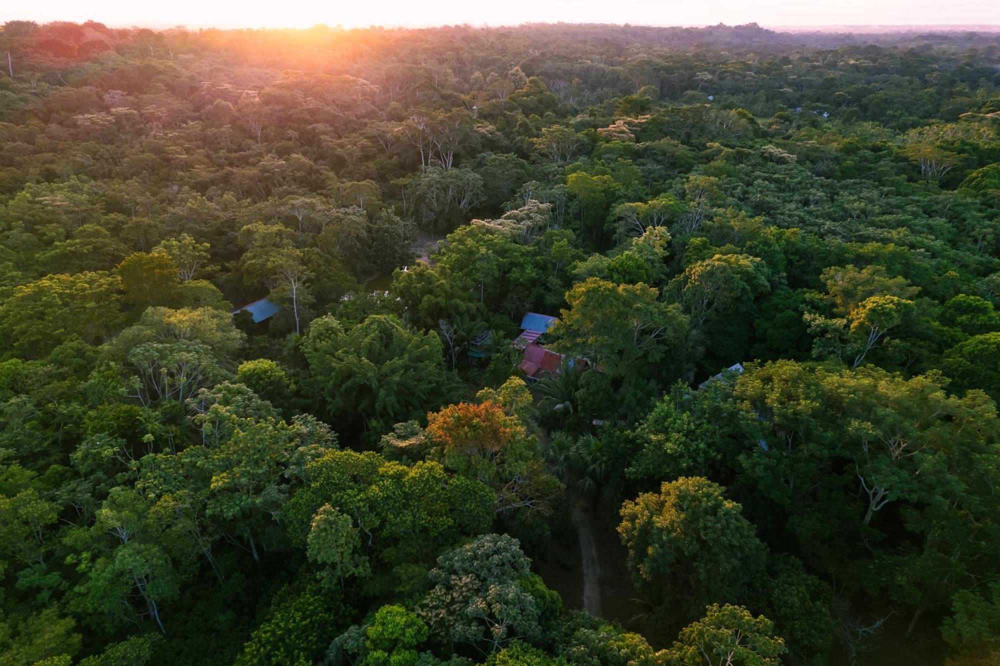 Passiflora Lodge Tambopata 푸에르토말도나도 외부 사진