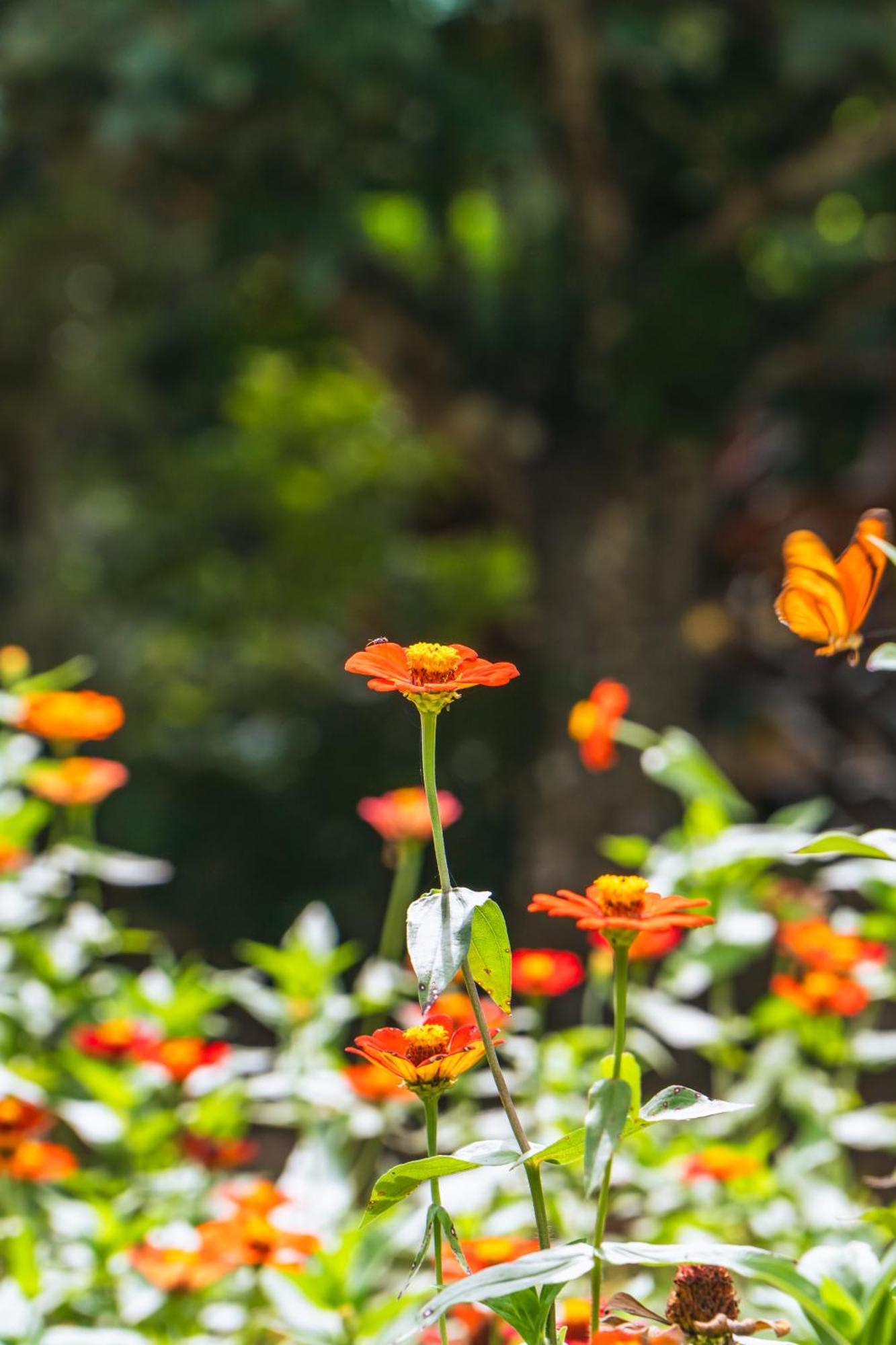 Passiflora Lodge Tambopata 푸에르토말도나도 객실 사진