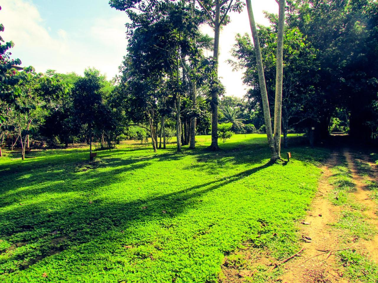 Passiflora Lodge Tambopata 푸에르토말도나도 외부 사진